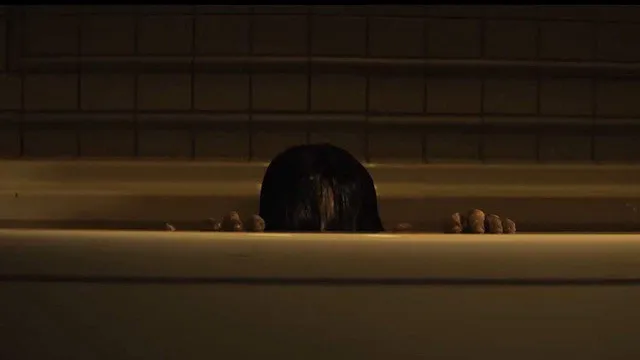 The Grudge - The Grudge